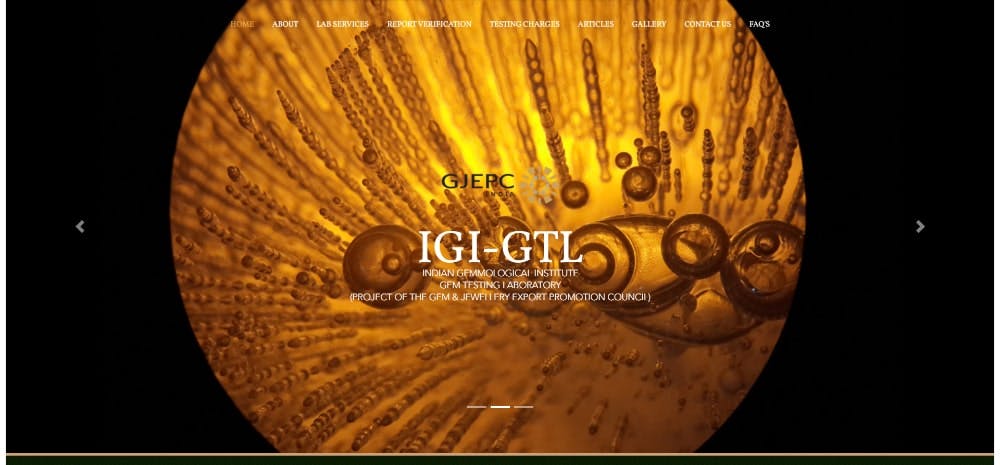 IGI-GTL, Delhi