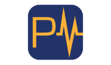 Pay Pulse | Kwebmaker Digital Agency client