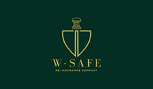 W-safe, Caribbean | Kwebmaker Digital Agency client